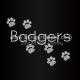 Badgers Paw Rhinestone Iron On Transfer